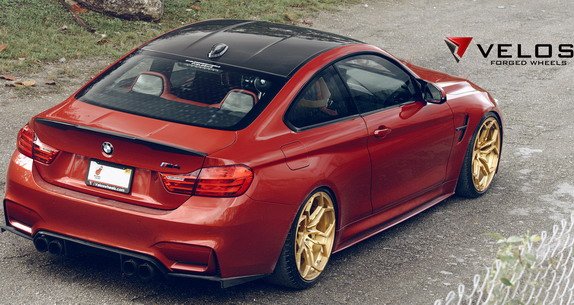 159465-velos 11.jpg, 79 KB