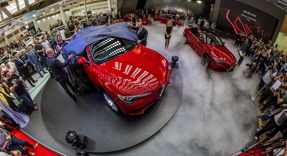 163519-alfa bg 11.jpg, 91 KB