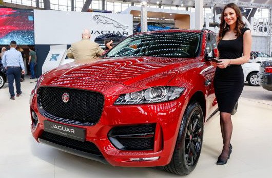 163643-jaguar bg.jpg, 79 KB