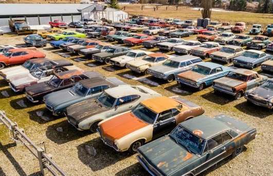 163870-kolekcija 1.jpg, 104 KB