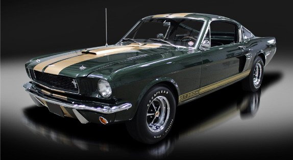 165363-shelby 1.jpg, 42 KB