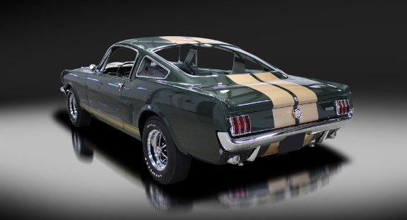 165364-shelby 11.jpg, 34 KB