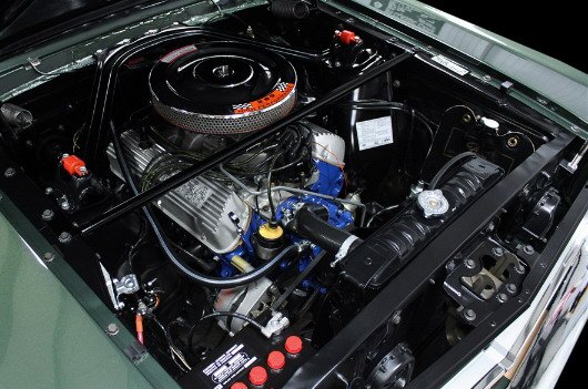 165366-shelby 1111.jpg, 77 KB