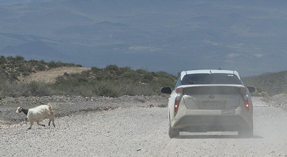 171442-toyota r 1.jpg, 54 KB