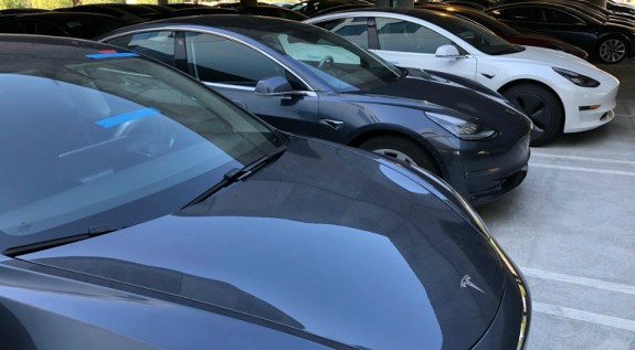 173099-tesla p 11.jpg, 50 KB