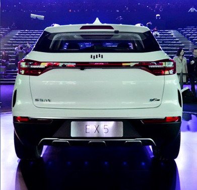 174036-welt 111.jpg, 42 KB