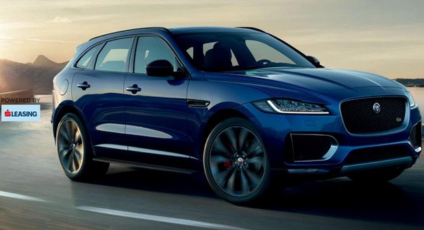 174533-Jaguar f.jpg, 50 KB
