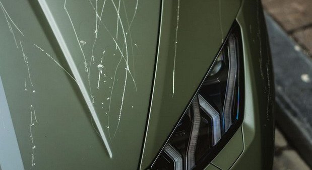 174777-lambo o 11.jpg, 45 KB