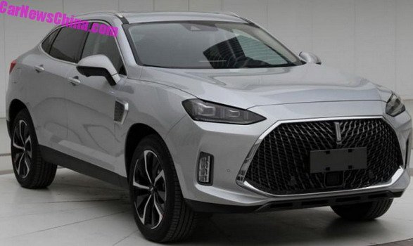 182203-wey 1.jpg, 45 KB