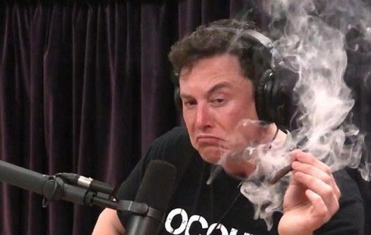 183922-musk.jpg, 41 KB