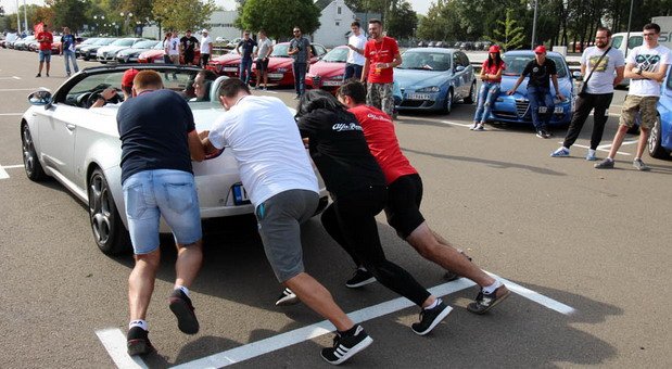 184523-alfa skup.jpg, 97 KB