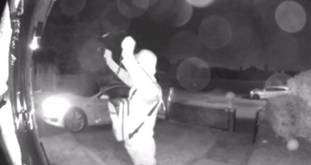 195531-tesla kradja.jpg, 30 KB