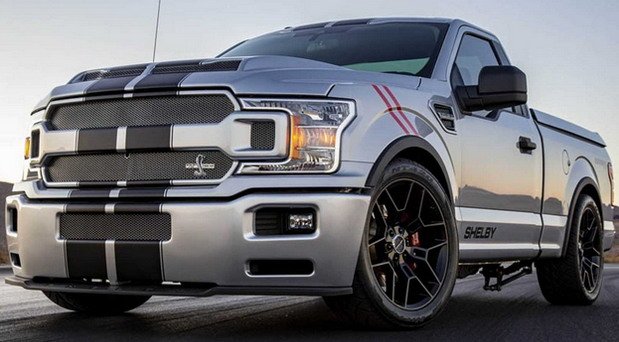 198964-shelby 1.jpg, 62 KB