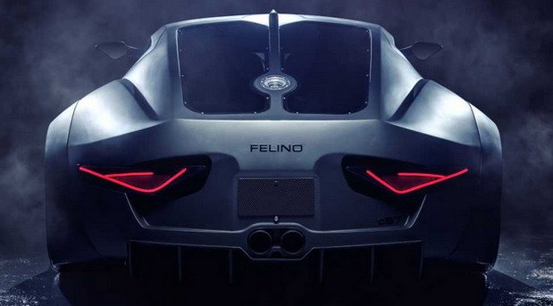 200332-felino 11.jpg, 40 KB