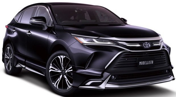 204170-modellista 1.jpg, 51 KB