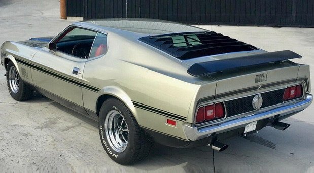 206391-ford mach 11.jpg, 65 KB