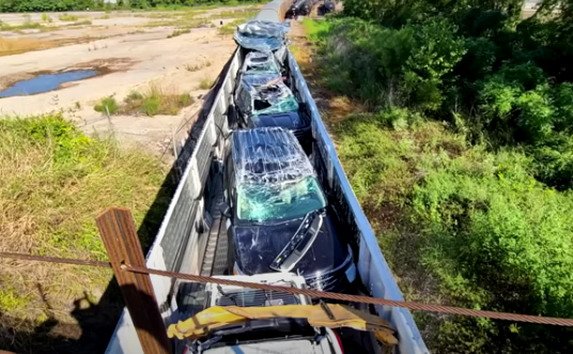 206914-voz.jpg, 88 KB