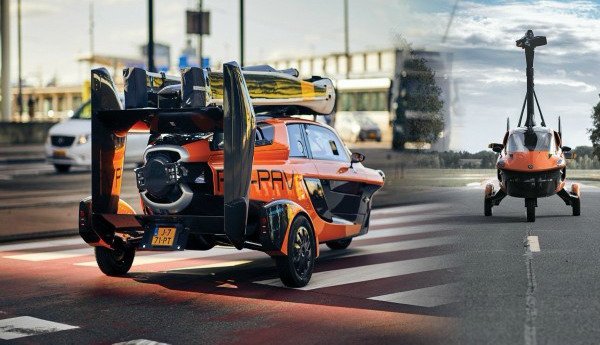 208333-pal 1.jpg, 71 KB