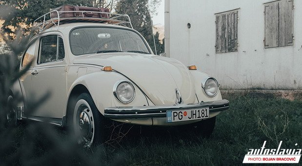 208681-volkswagen-beetle.jpg, 66 KB
