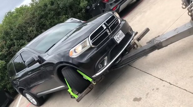 212585-pauk.jpg, 67 KB