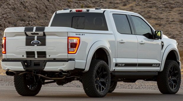 216110-shelby 111111.jpg, 65 KB