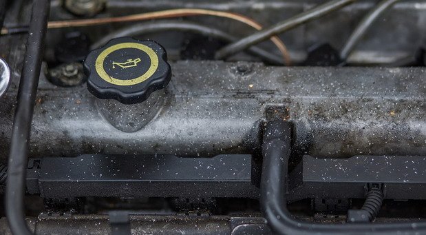 222128-ulje.jpg, 68 KB