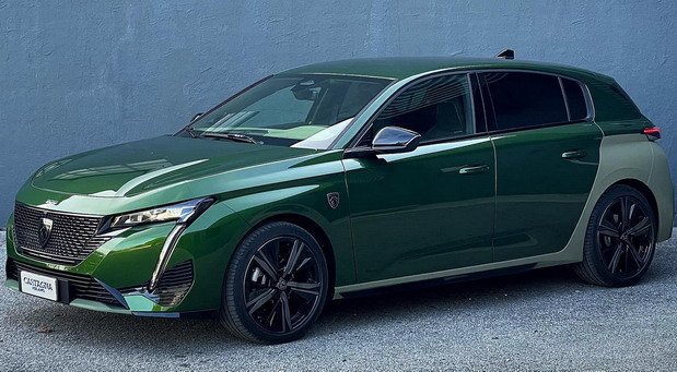 225565-castagna 1.jpg, 80 KB