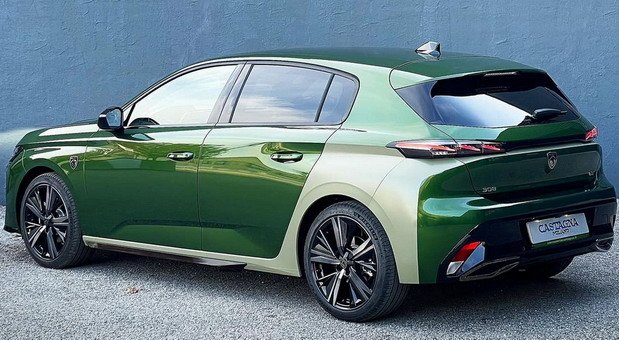 225566-castagna 11.jpg, 82 KB