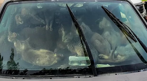 225840-macke.jpg, 60 KB