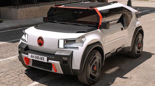 228440-Citroen Oli 1.jpg, 76 KB