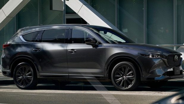 229375-mazda cx8 11111.jpg, 58 KB