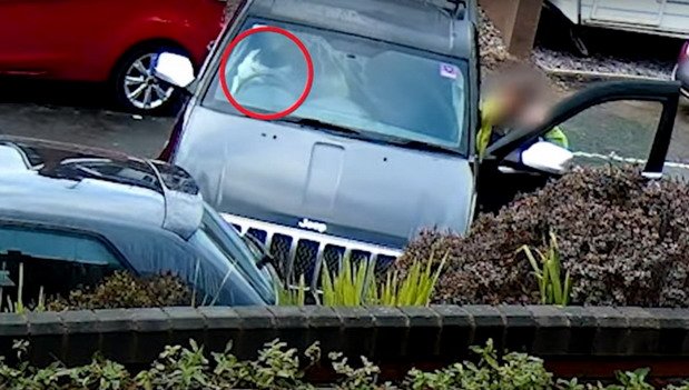 230376-pas.jpg, 73 KB