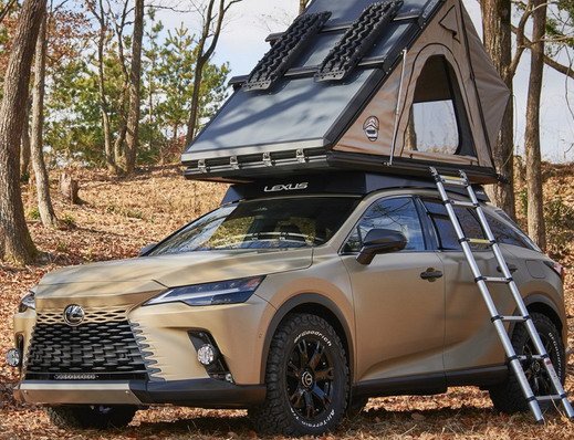 231110-lexus rx 4.jpg, 100 KB