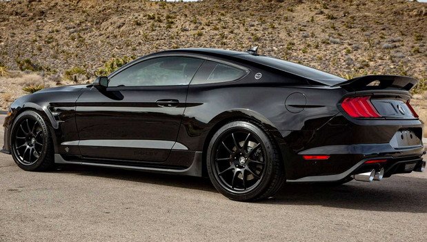 231151-shelby 1.jpg, 91 KB