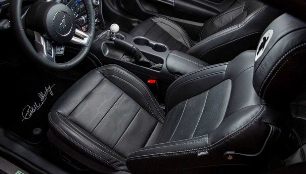 231152-shelby 11.jpg, 59 KB