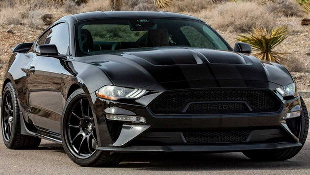 231153-shelby 111.jpg, 75 KB