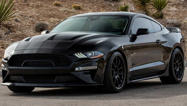 231154-shelby 1111.jpg, 77 KB