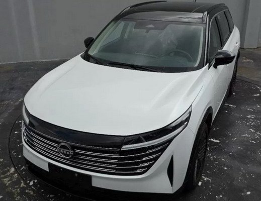 237214-nissan pathfinder 111.jpg, 50 KB