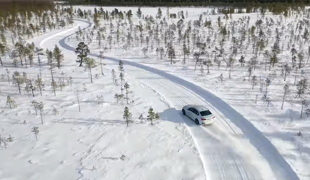 237904-gume.jpg, 75 KB