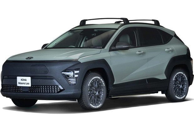 246530-hyundai kona 211.jpg, 46 KB
