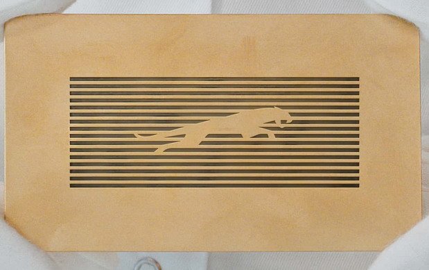 247043-jaguar logo 11.jpg, 55 KB