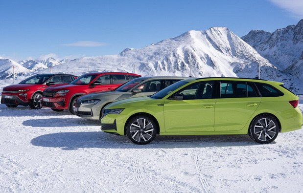 257213-skoda 4X4 1.jpg, 98 KB