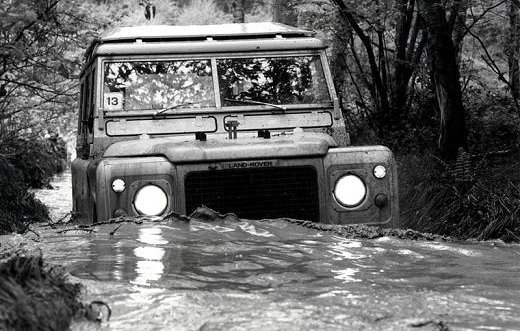 82648-landy 11111111.jpg, 75 KB