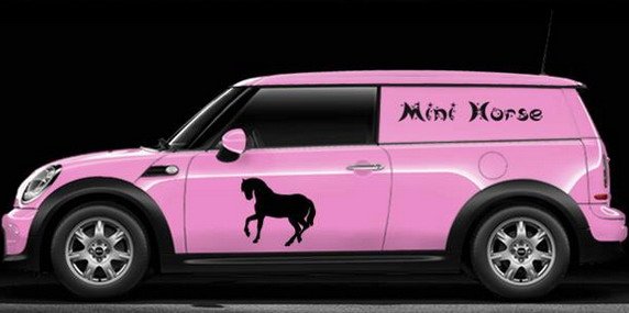 86928-mini clubvan 1.jpg, 34 KB