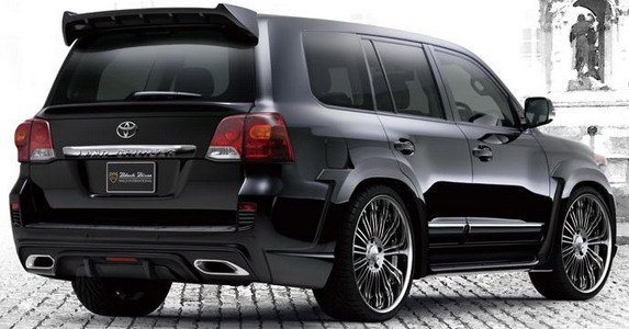 91934-wald 11.jpg, 55 KB