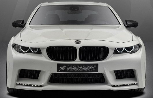 94682-hamann m5 1.jpg, 50 KB