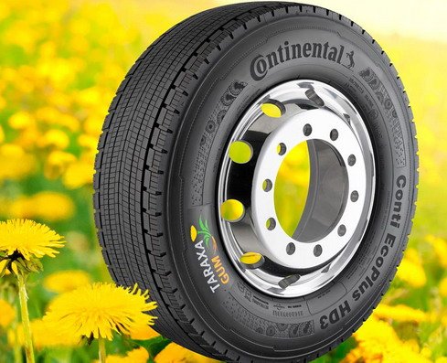 Continental-Taraxagum-02.jpg, 72 KB