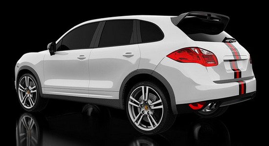 DMC Terra 650 cayenne 111.jpg, 43 KB