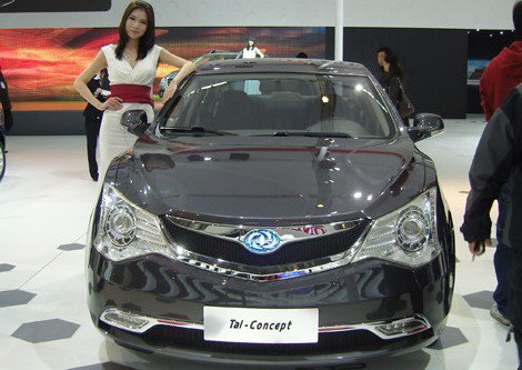 DongFeng Tal 1111.jpg, 52 KB