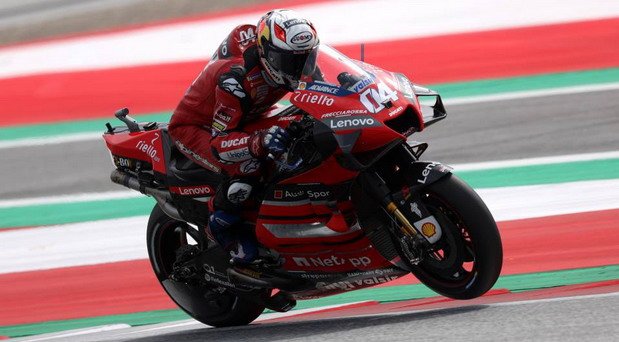 Doviciozo aus.jpg, 59 KB